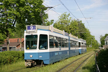 02_Luchswiesen_1