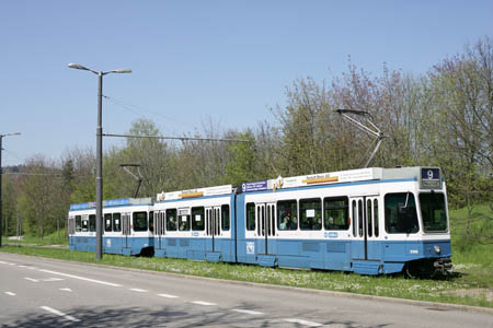 13_Irchel_1