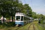 02_Luchswiesen_2