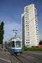 02_Luchswiesen_3